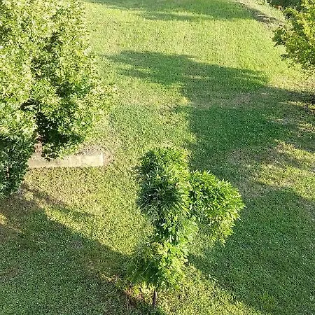 Molin Del Topo * Monte San Savino